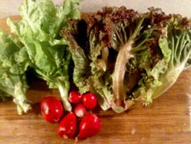 Garden Salad-Ingredients-4x6.jpg